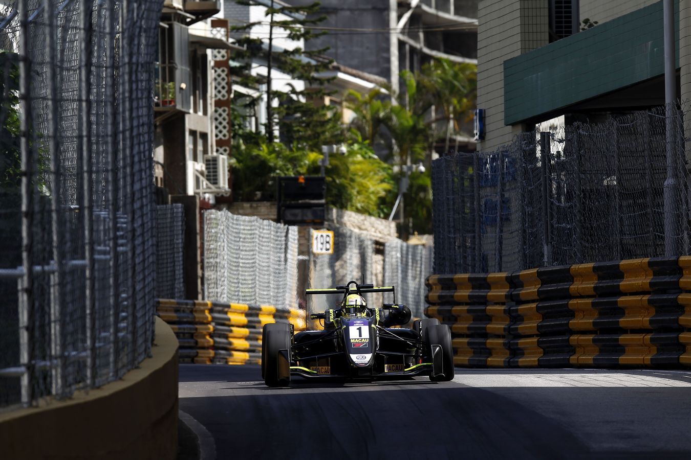 Lando racing in the 2017 Macau Grand Prix