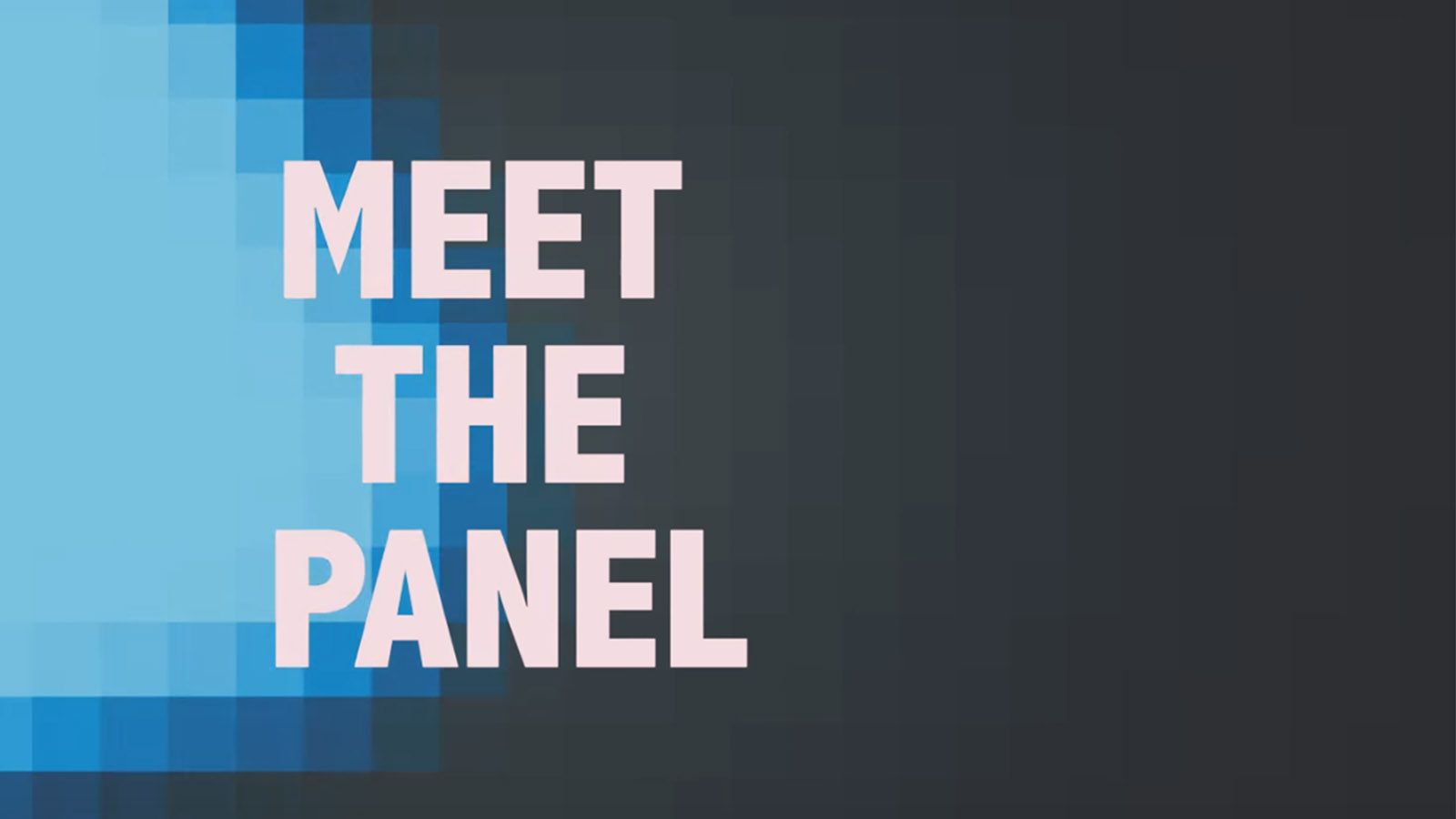 Meet the panel
