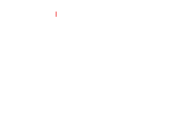Mexican Grand Prix 