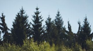 Belgian Grand Prix-Circuit de Spa-Francorchamps